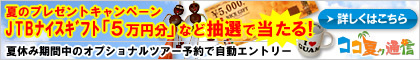 �Ẵv���[���g�L�����y�[��