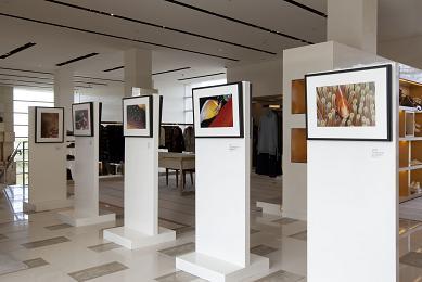 ルイ・ヴィトン グローバルストアにて写真展開催 | グアムの現地最新 ...