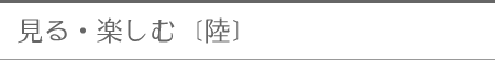 ����E�y����[��]