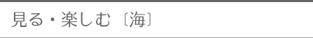 ����E�y����[�C]
