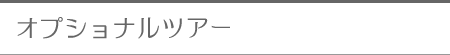 �I�v�V���i���c�A�[