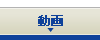 ���[�r�[