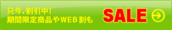 オプショナルツアーがWEB割価格