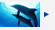 �C���J�E�H�b�`���O�̎ʐ^