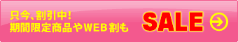 オプショナルツアーがWEB割価格