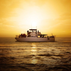 BIG�T���Z�b�g�f�B�i�[�N���[�Y