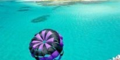 B-SEA マニャガハ島　送迎   