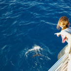 BIG�T���Z�b�g�f�B�i�[�N���[�Y