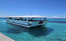 TASI �}�j���K�n�� �������}