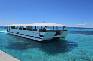 TASI �}�j���K�n�� �������}