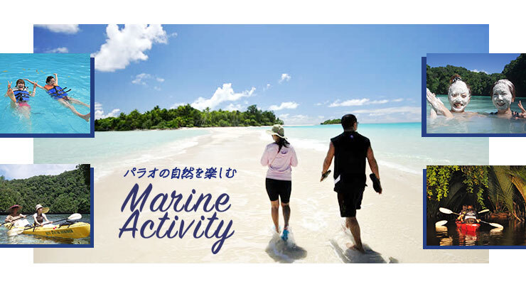 パラオアクティビティ