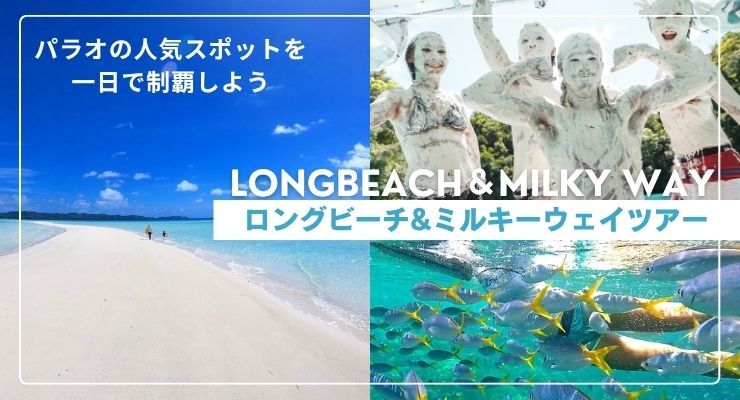 ロングビーチ&ミルキーウェイツアー