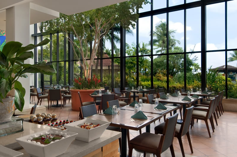 Islander Terrace