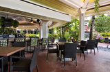 Tree Bar
