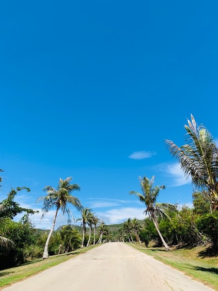 SS Bird Island