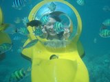 パラダイスアクアボブ