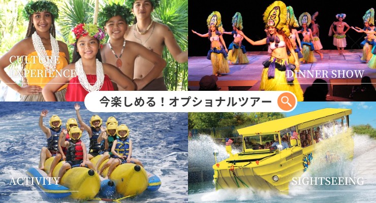 おすすめオプショナルツアー